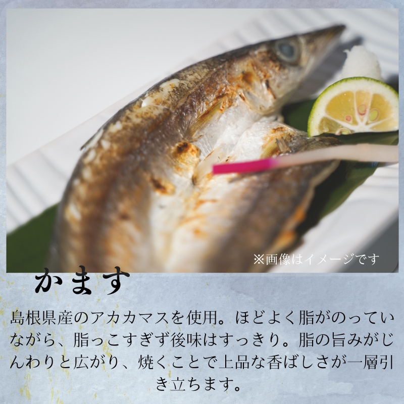 【送料込み】訳あり干物大放出　海の福箱　”彩”（いろどり）