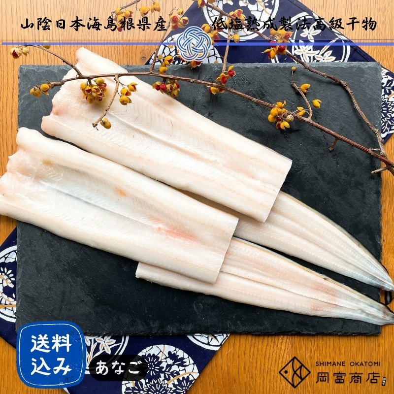 【送料無料】天女の羽衣～あなご一夜干し詰合せ（2尾入り）