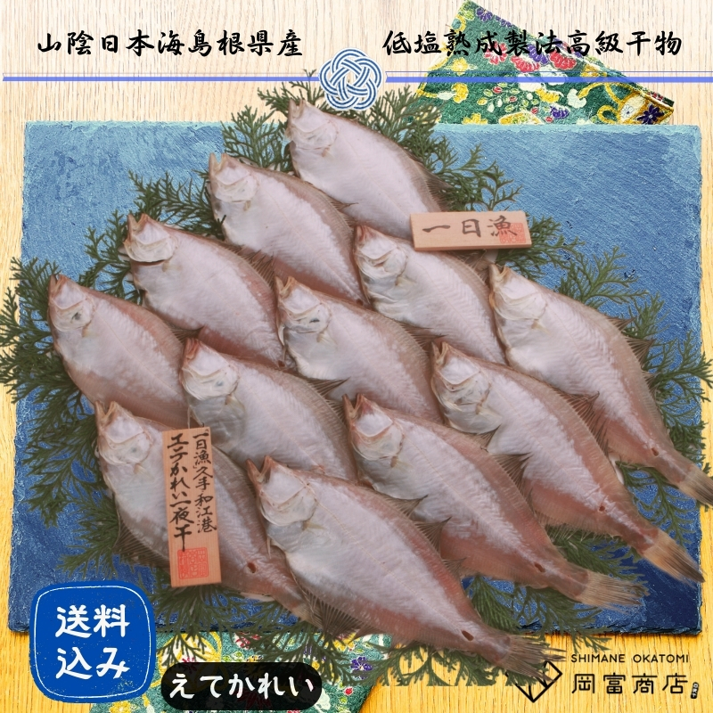 【送料無料】かれい一夜干し（1200g 10～16枚）