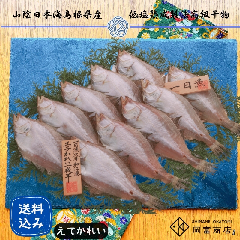 【送料無料】かれい一夜干し（900g 8～12枚）