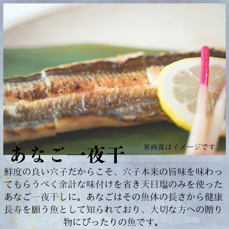 【送料無料】『一日漁』島根沖一夜干「弁天」セット