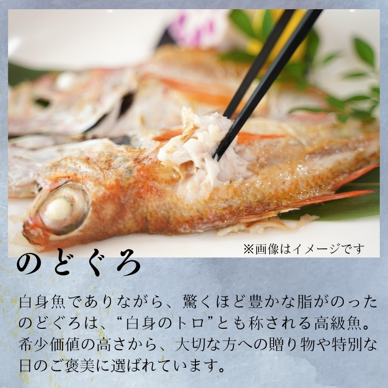 【送料無料】『一日漁』島根沖一夜干「弁天」セット