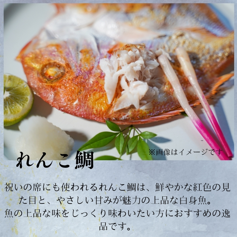 【送料無料】『一日漁』島根沖一夜干「弁天」セット