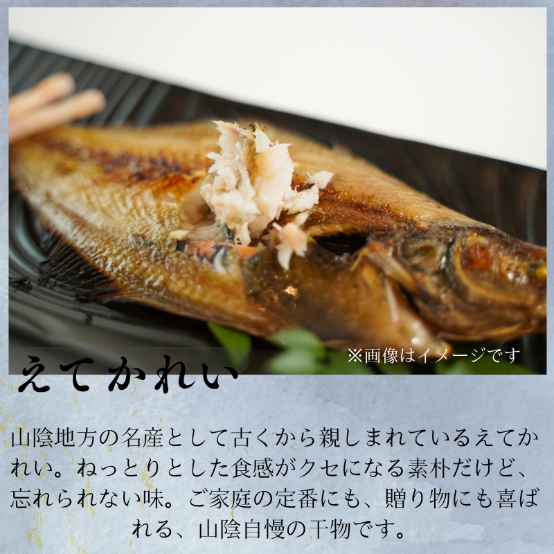 【送料無料】『一日漁』島根沖一夜干「弁天」セット