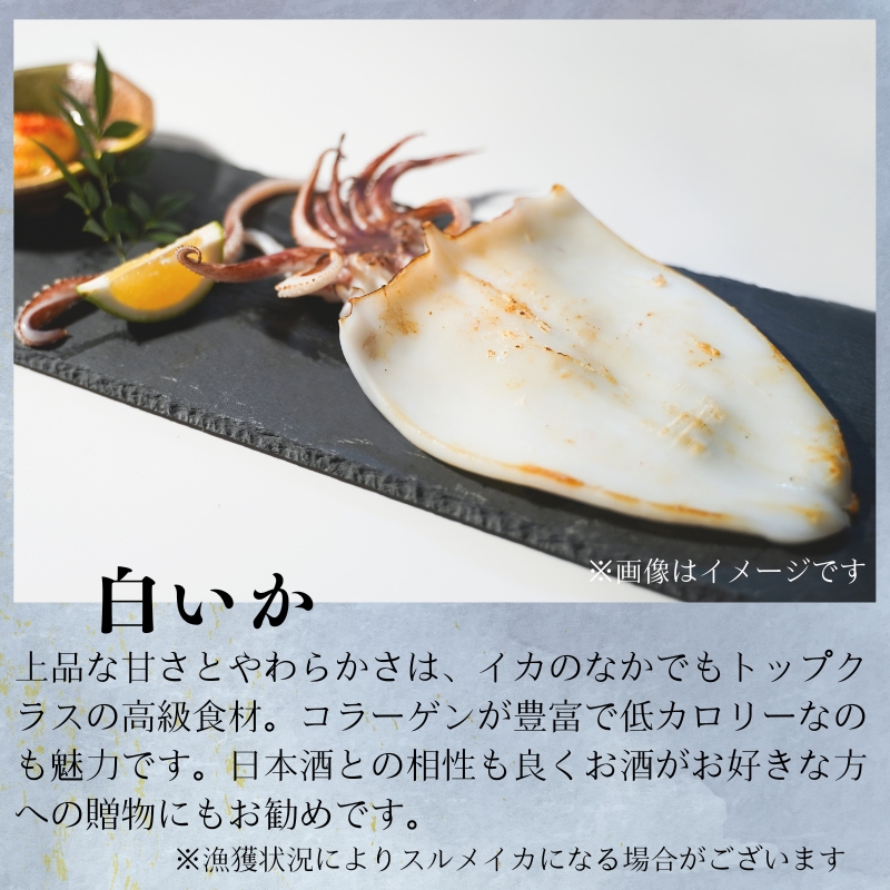 【送料無料】特別純米「石見銀山」改良八反流（720ml）＆一夜干しセット
