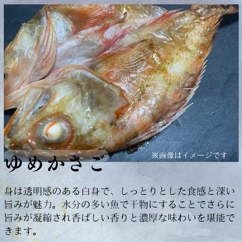 創業75年記念【送料込】「一日漁」感謝ひもの詰合せ　“縁”【御中元・ギフト】