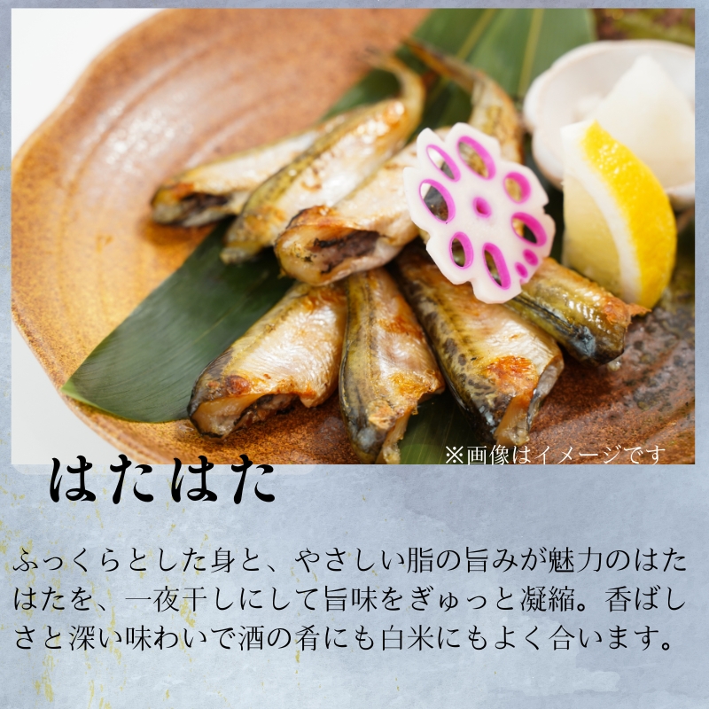 創業75年記念【送料込】「一日漁」感謝ひもの詰合せ　“極”【御中元・ギフト】