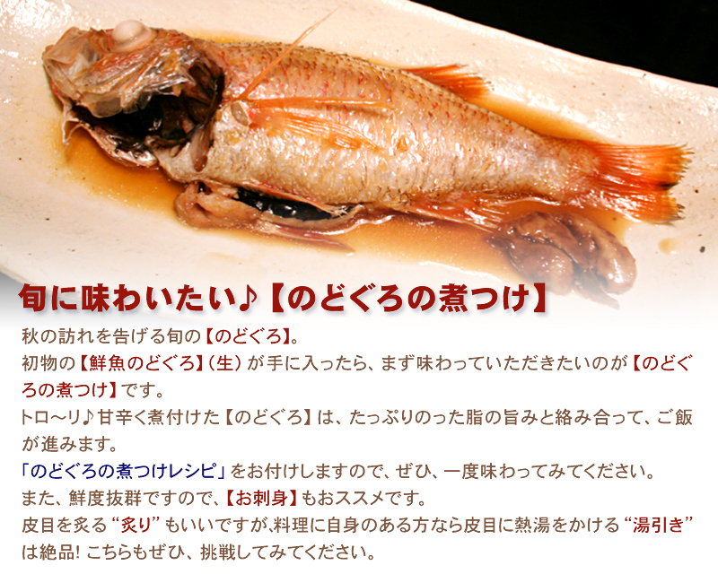 鮮魚 のどぐろ（1尾・200～240g）【数量・期間限定】