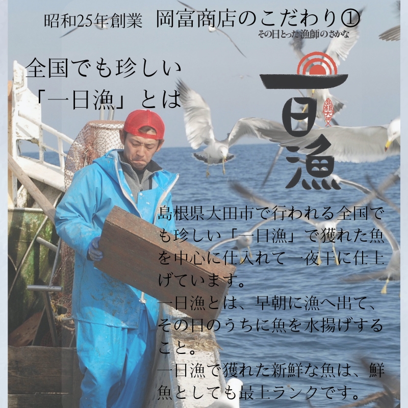 創業75年記念【送料込】「一日漁」感謝ひもの詰合せ “福”【ギフト】