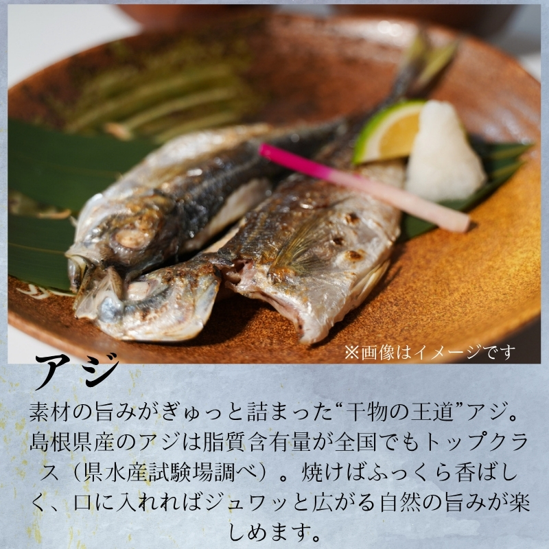 創業75年記念【送料込】「一日漁」感謝ひもの詰合せ “福”【ギフト】