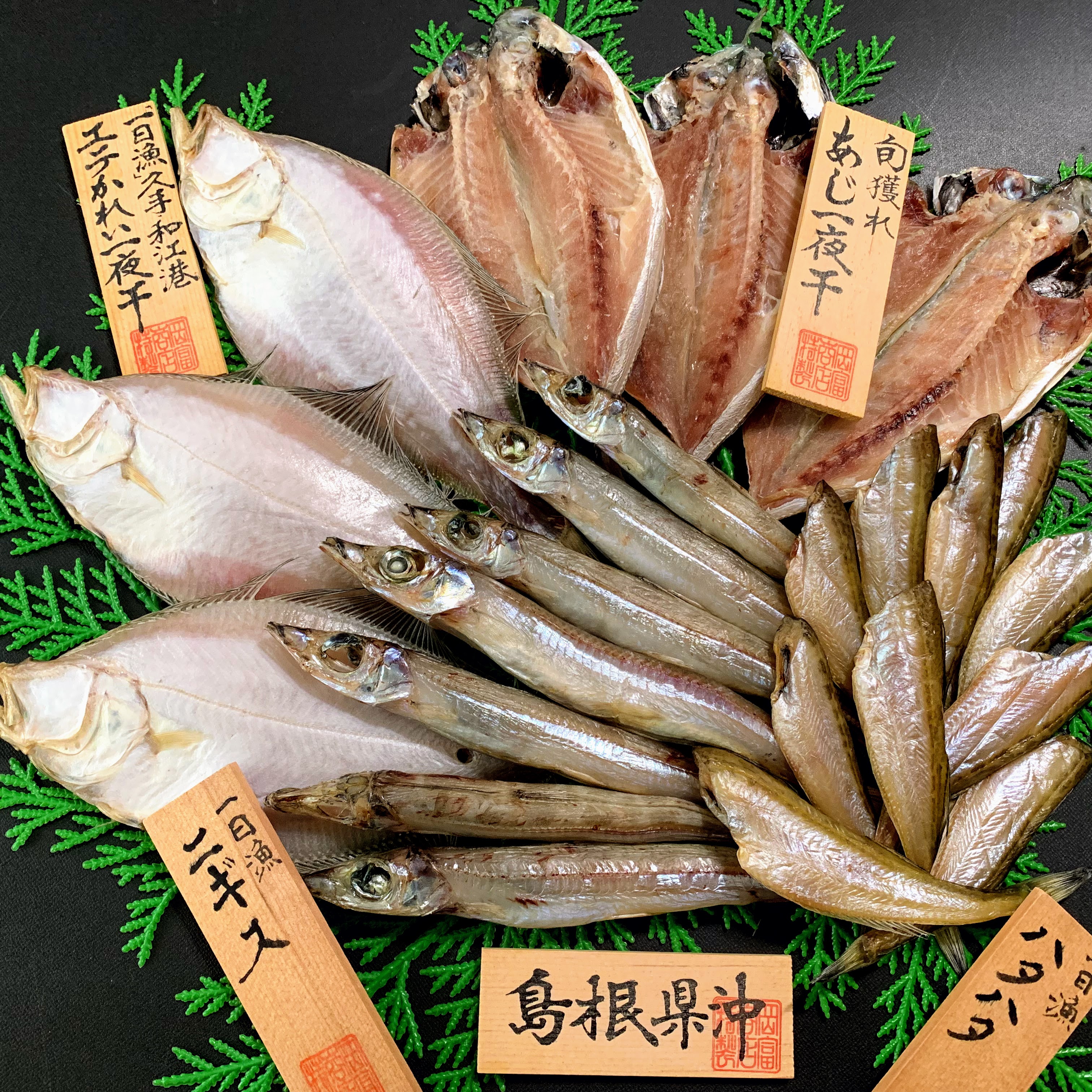 【送料無料】地魚干物ボリュームセット