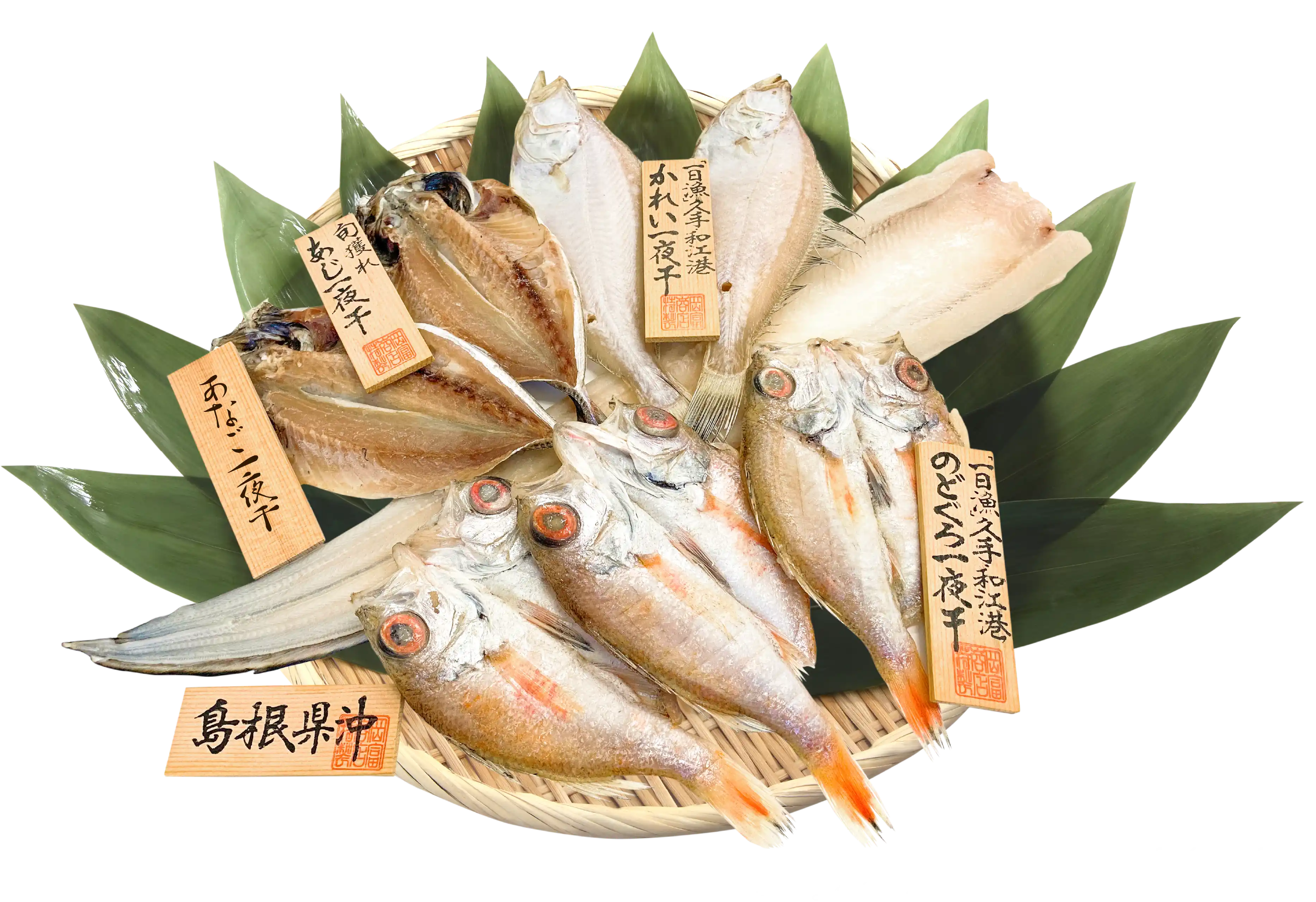 父の日干物