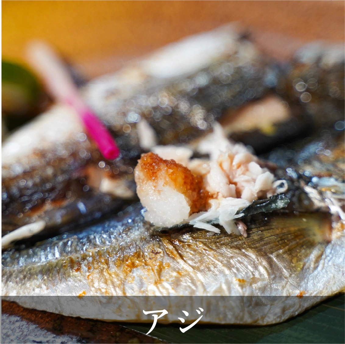 アジ