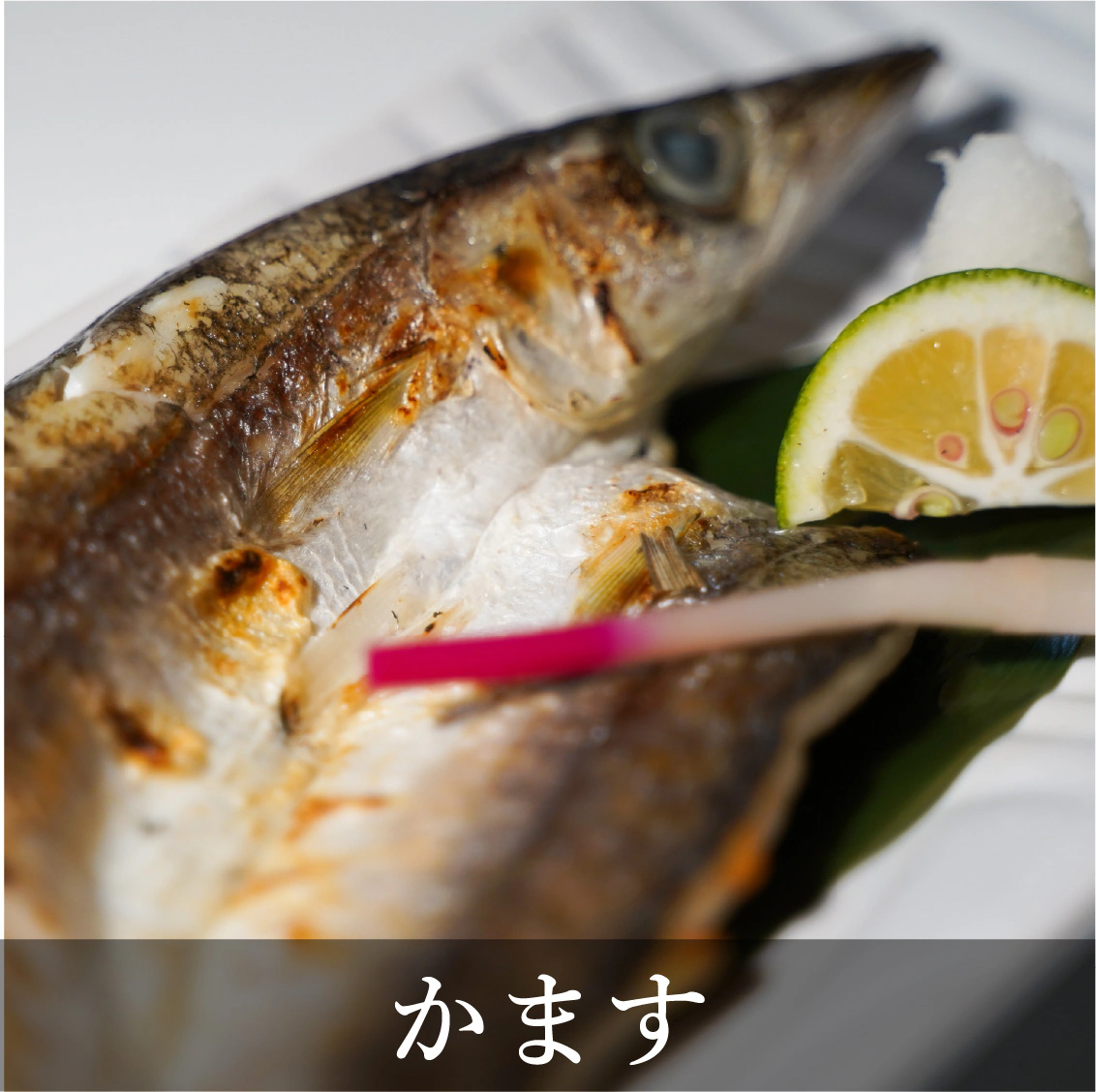 かます