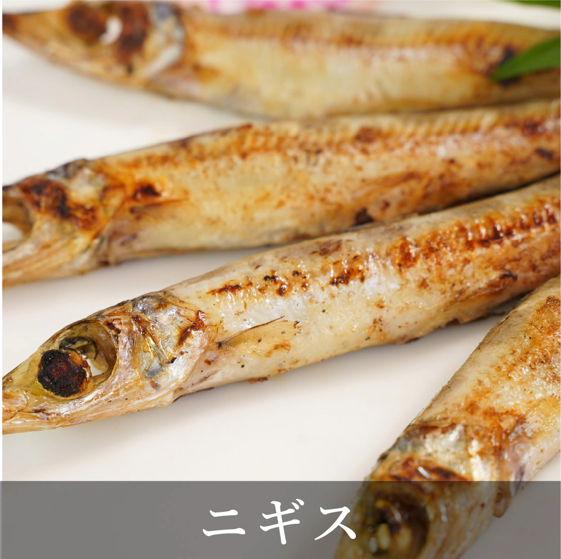 ニギス